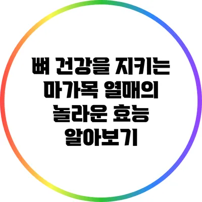 뼈 건강을 지키는 마가목 열매의 놀라운 효능 알아보기