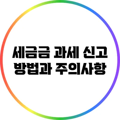 세금금 과세 신고 방법과 주의사항