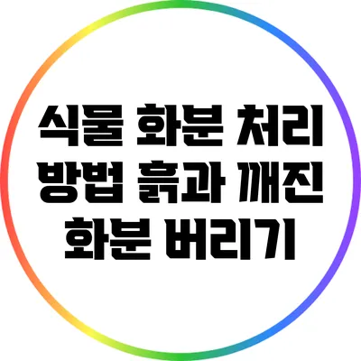식물 화분 처리 방법: 흙과 깨진 화분 버리기