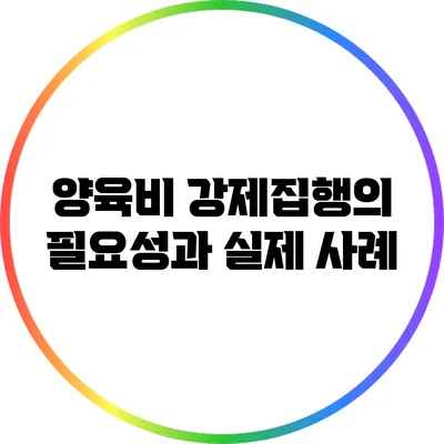양육비 강제집행의 필요성과 실제 사례