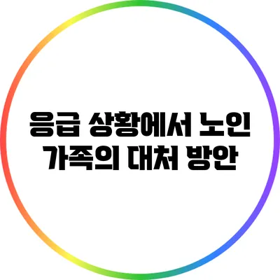 응급 상황에서 노인 가족의 대처 방안