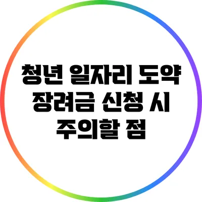 청년 일자리 도약 장려금 신청 시 주의할 점