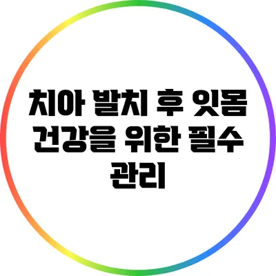 치아 발치 후 잇몸 건강을 위한 필수 관리