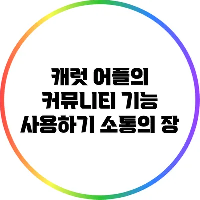 캐럿 어플의 커뮤니티 기능 사용하기 소통의 장