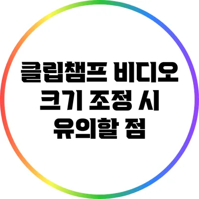 클립챔프 비디오 크기 조정 시 유의할 점