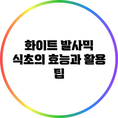 화이트 발사믹 식초의 효능과 활용 팁