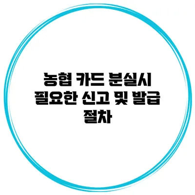 농협 카드 분실시 필요한 신고 및 발급 절차