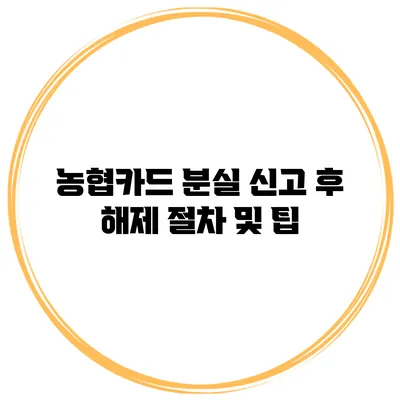 농협카드 분실 신고 후 해제 절차 및 팁