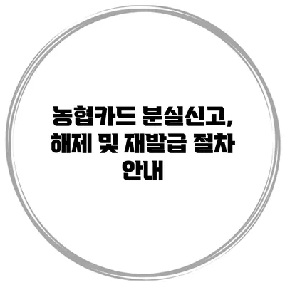 농협카드 분실신고, 해제 및 재발급 절차 안내