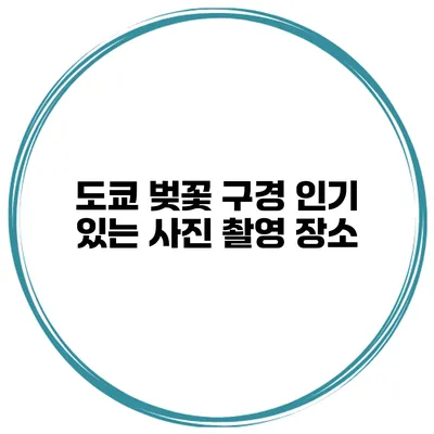 도쿄 벚꽃 구경 인기 있는 사진 촬영 장소