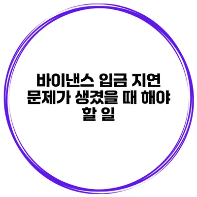 바이낸스 입금 지연 문제가 생겼을 때 해야 할 일