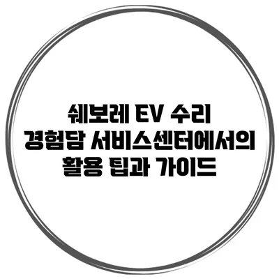 쉐보레 EV 수리 경험담: 서비스센터에서의 활용 팁과 가이드