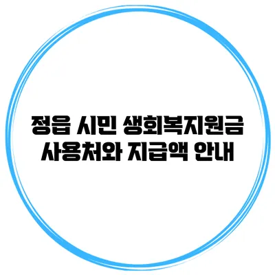 정읍 시민 생회복지원금: 사용처와 지급액 안내