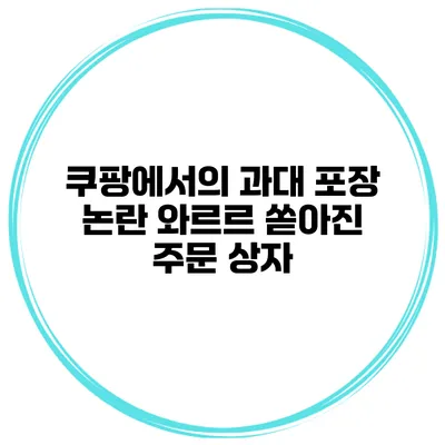 쿠팡에서의 과대 포장 논란 와르르 쏟아진 주문 상자