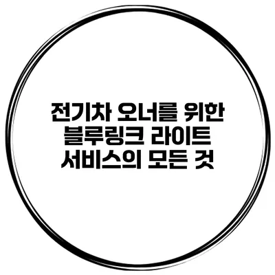 전기차 오너를 위한 블루링크 라이트 서비스의 모든 것